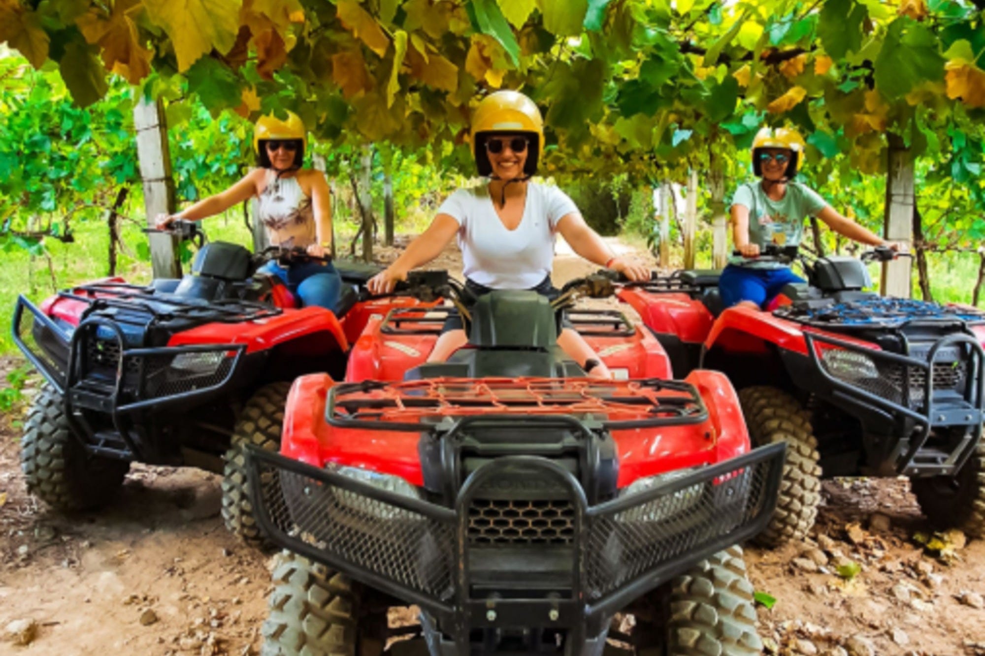 Recorred los viñedos en una emocionante ruta en quad