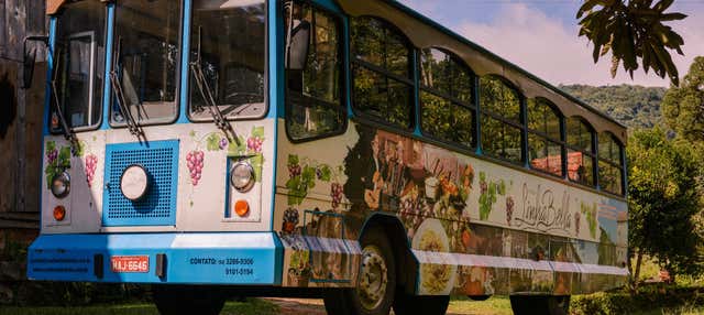 Tour dell'immigrazione italiana a Gramado e Linha Nova