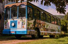 Tour de la inmigración italiana por Gramado y Linha Nova