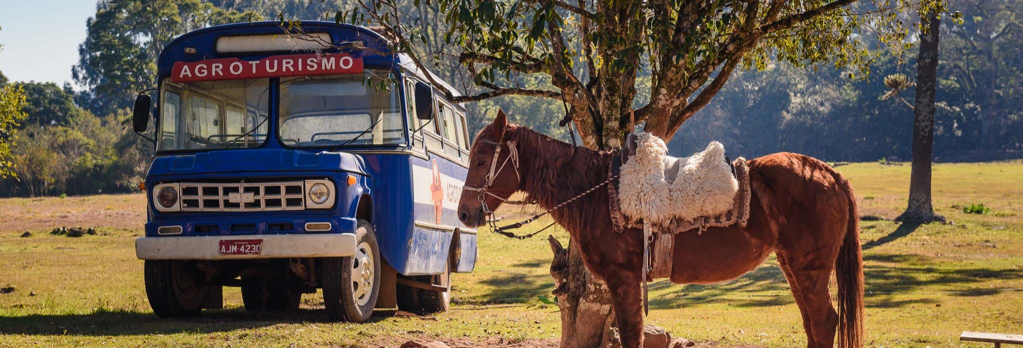 Visitas guiadas e free tours em Gramado