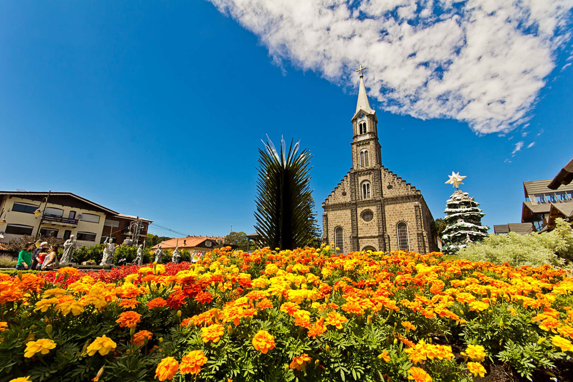 Tour da cerveja artesanal de ônibus panorâmico