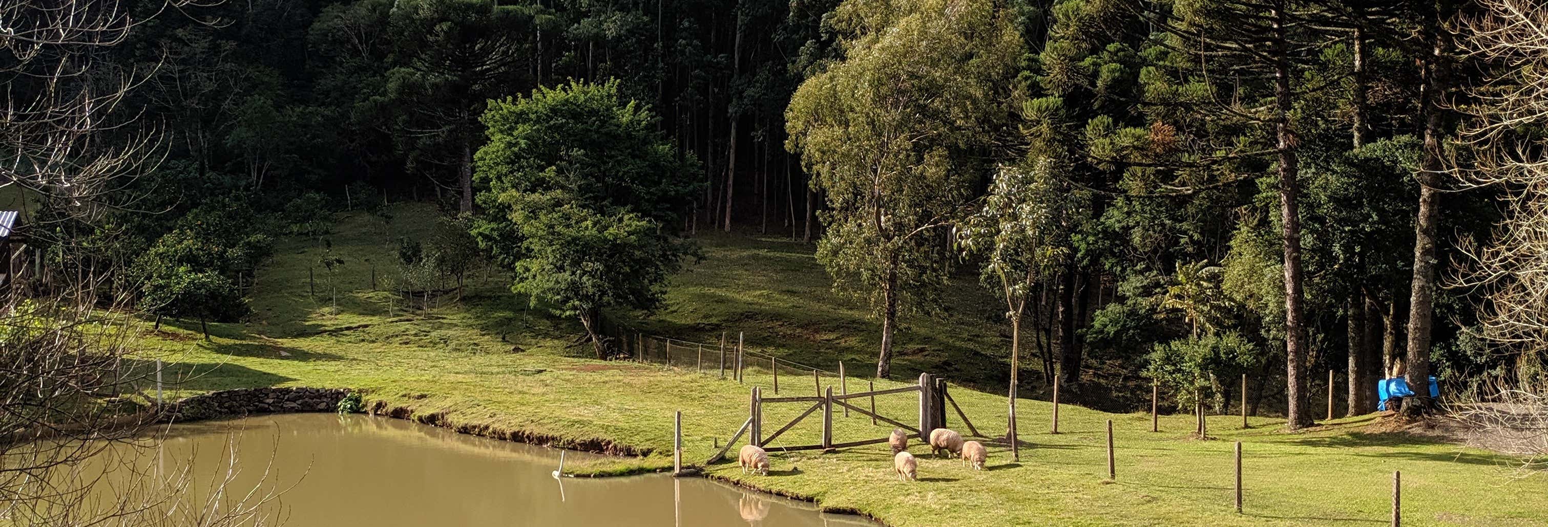 Day trips in Gramado