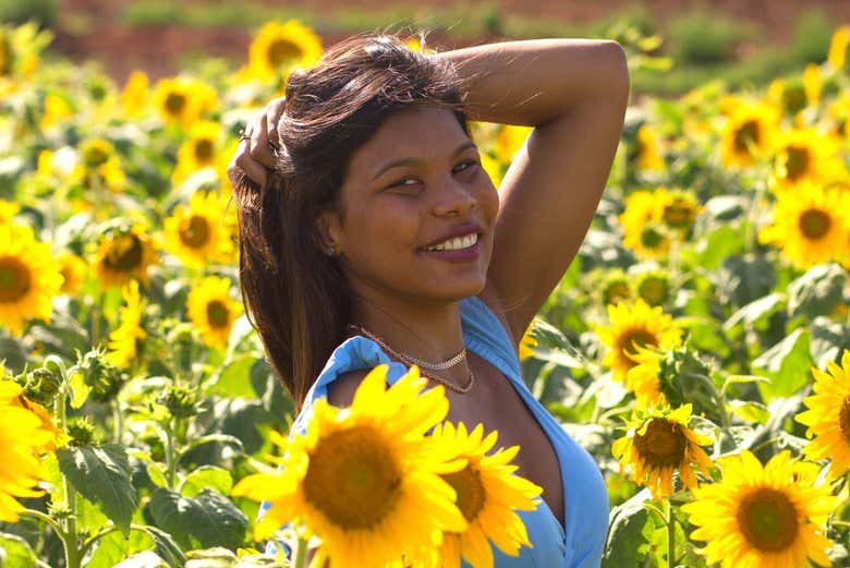 Visitaremos campos de girassóis