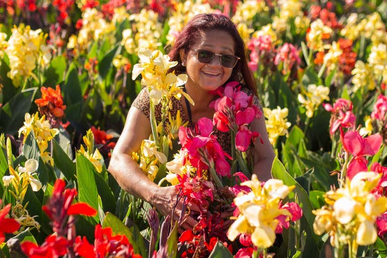 Conhecendo o jardim de flores