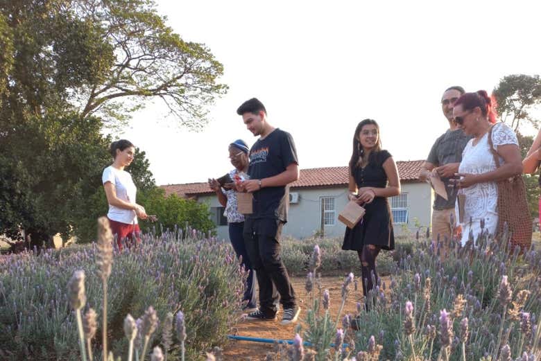Grupo no Jardim do Holandês