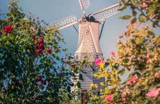 Jardín Holandés + Fábrica de juguetes Olly Toys