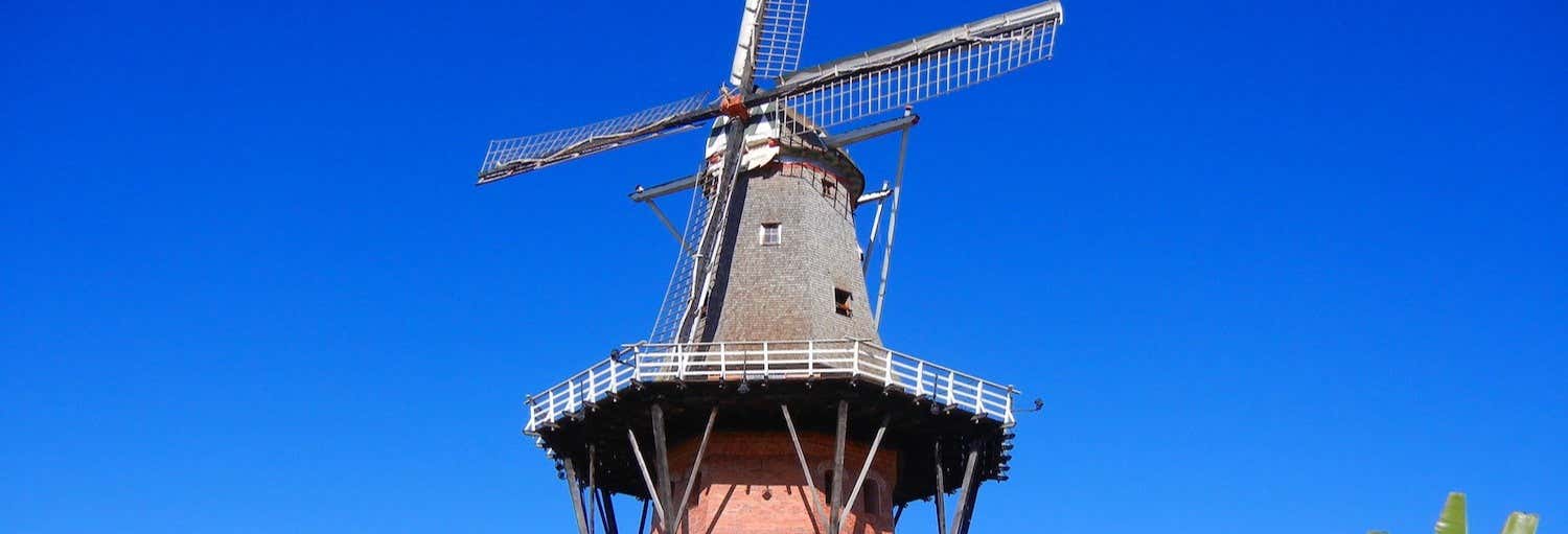 Guided tours and free tours in Holambra 