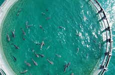 Visita a la Fazenda Marinha Costa Verde