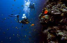 Buceo nocturno en Ilhabela