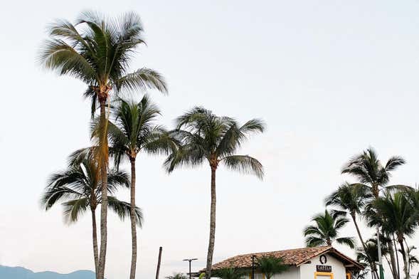 Castelhanos Beach 4x4 Excursion