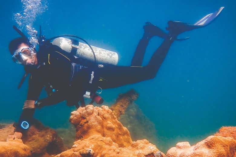 Diver exploring the Aymore shipwreck