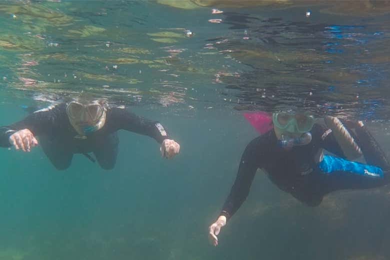 Mergulhando perto da superfície em Ilhabela