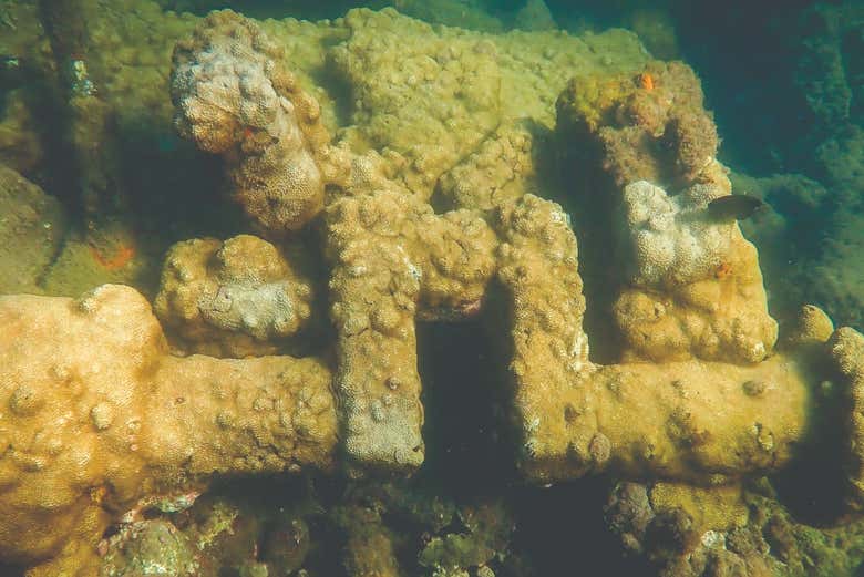 Vestígios de um barco naufragado