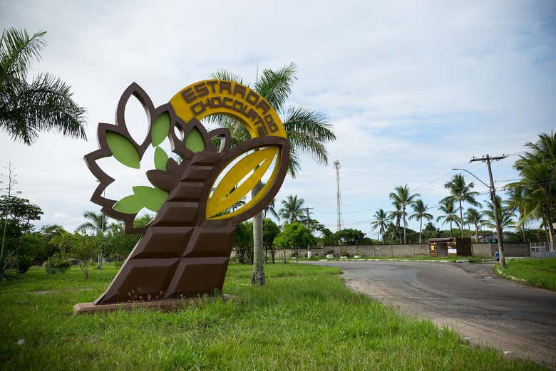Travel along the chocolate route