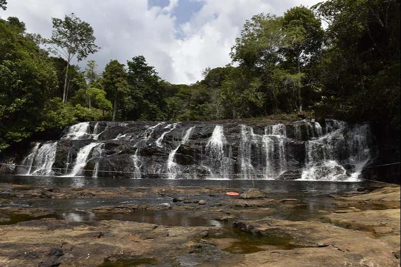 Immerse yourself in Brazilian nature