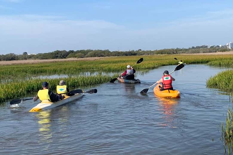 Grupo remando en kayak