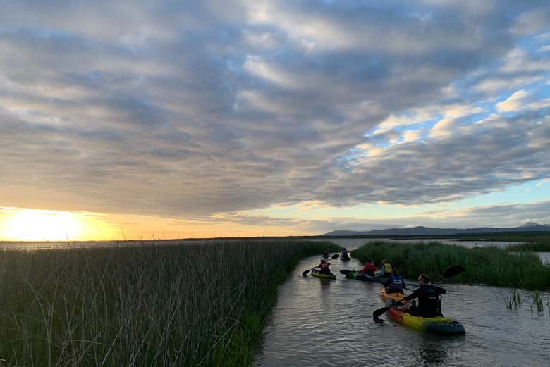 Descendiendo por los canales