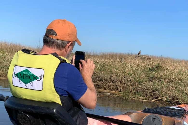 Fotografiando la fauna salvaje