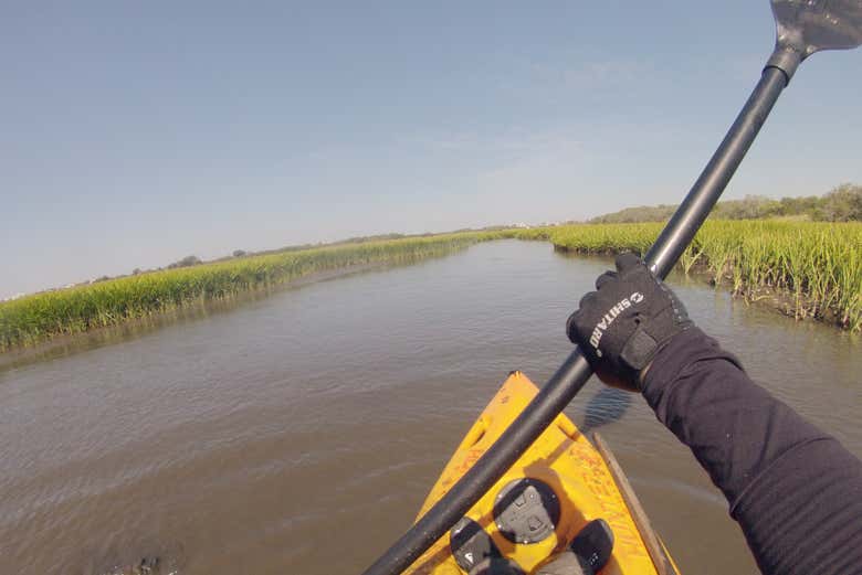 Remando entre humedales