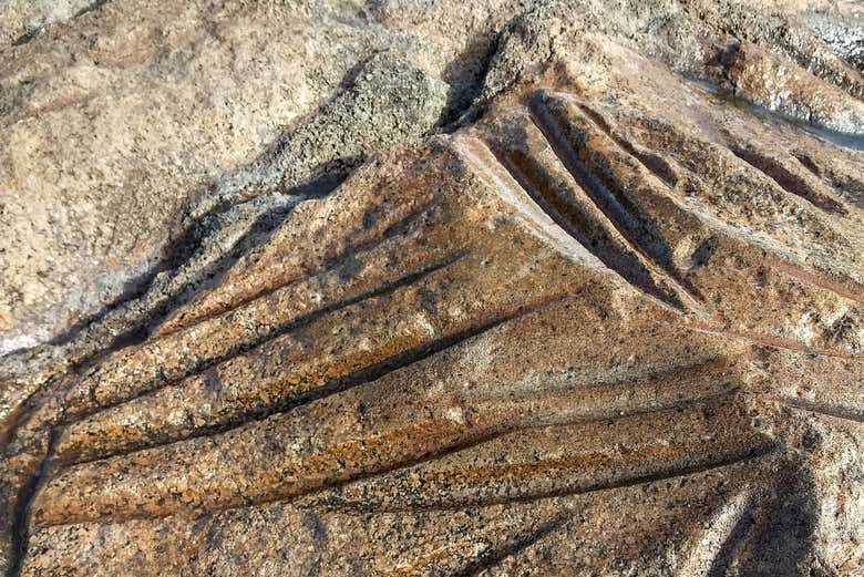 Archaeological remains we'll see on the trail