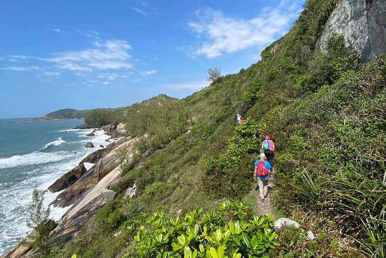 Immerse yourself in Brazilian nature