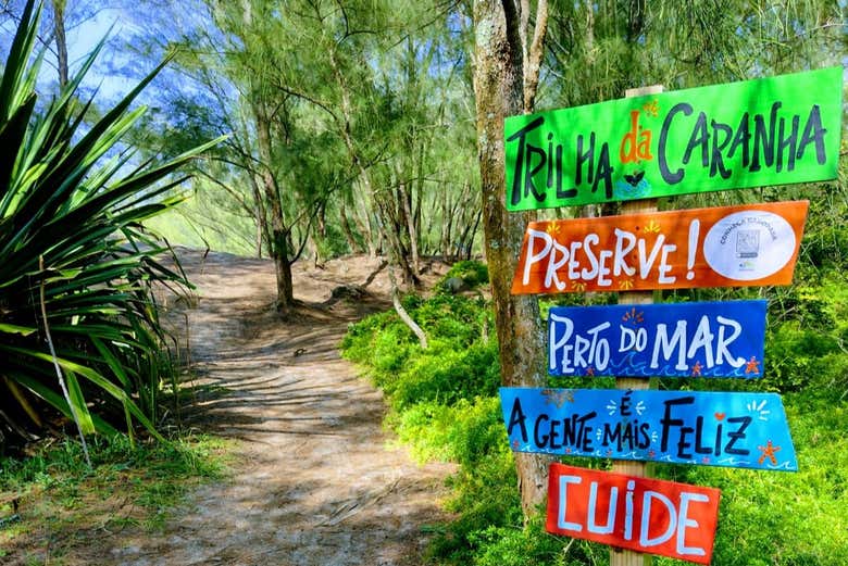 Traverse Atlantic forests