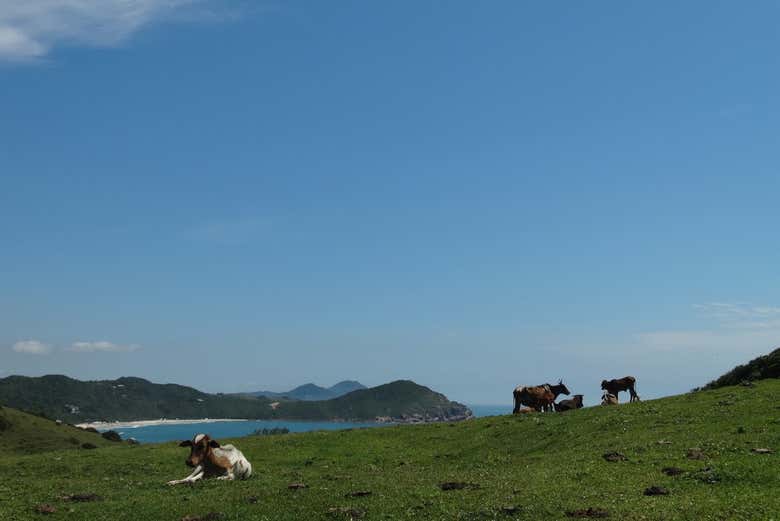 Disfrutando de los paisajes naturales