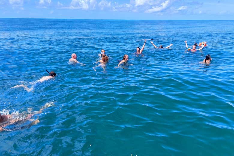 Hora de se refrescar na água!
