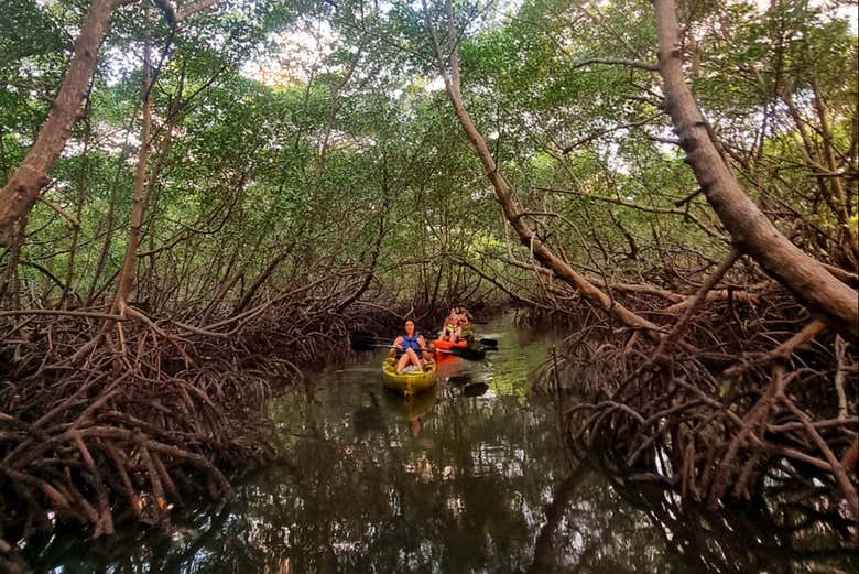 Desfrutando da natureza dos mangues da Ilha de Boipeba