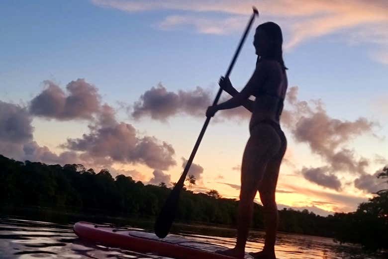 Praticando paddle surf