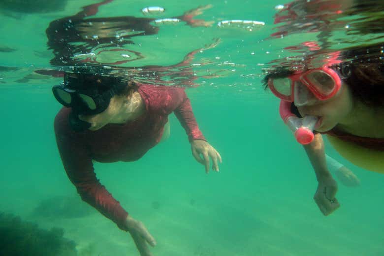 Practicando snorkel en las piscinas naturales de Tassimirim
