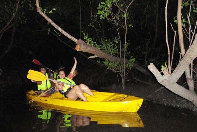 Remeremo tra le mangrovie