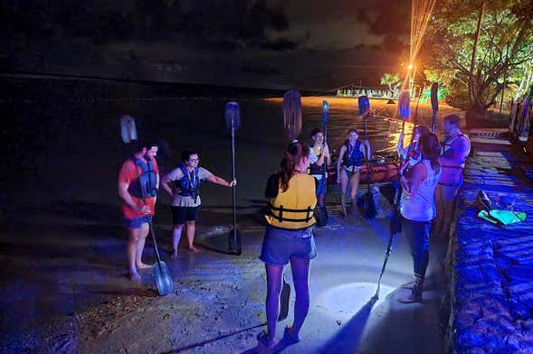 Tour del plancton luminiscente en kayak