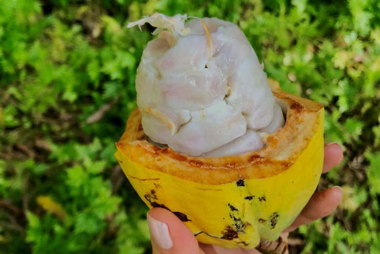 A fruta em sua melhor forma