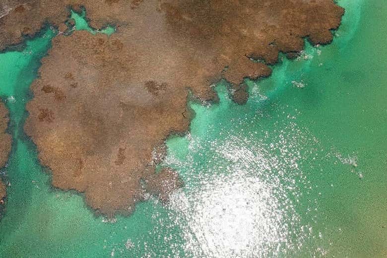 Paisagens marítimas paradisíacas