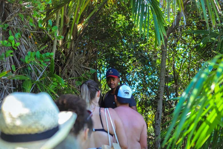 Explicações durante a trilha