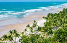 Playas Itacarezinho, Camboinha, Havaizinho y Engenhoca + Cascada de Tijuípe