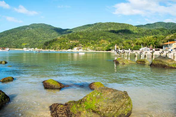 Excursão à baía dos Golfinhos e praia de Palmas