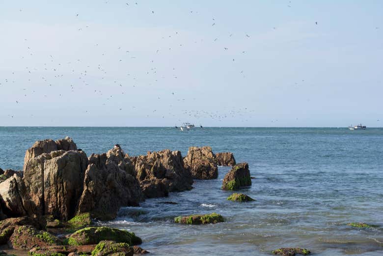 Sea at Balneário Piçarras