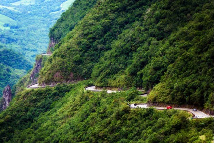 The lush Atlantic Forest