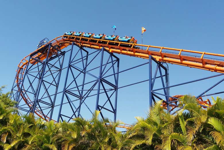 Beto Carrero World Tour from Itapema - Book at