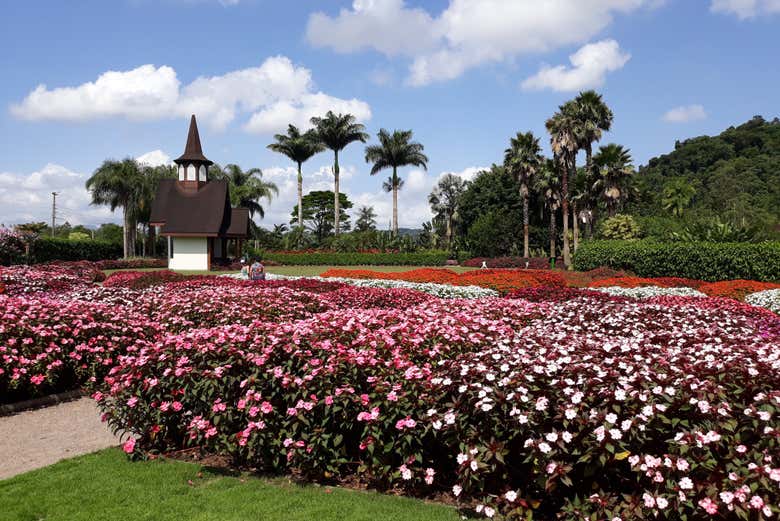 Natureza em Joinville