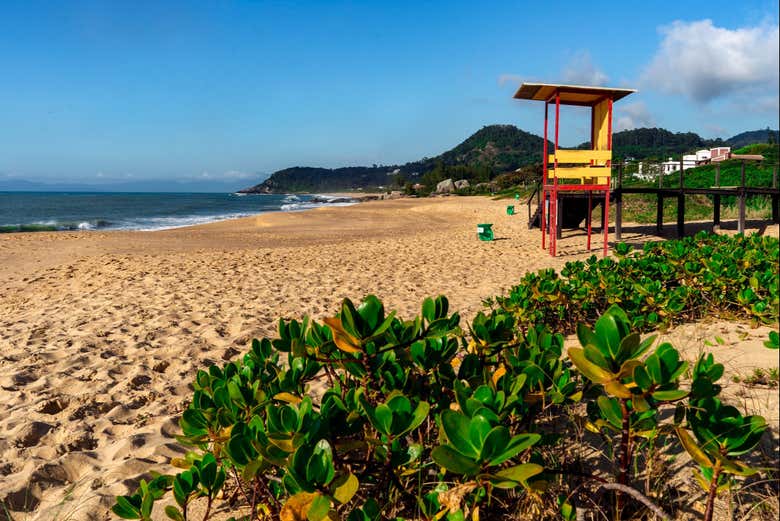Disfrutando de la playa Estaleiro