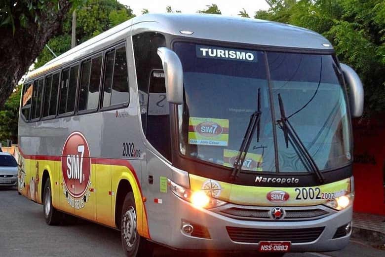 Bus para el traslado