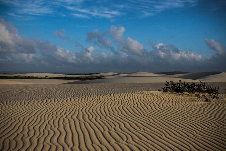 Dunas do Parque Nacional de Jericoacoara