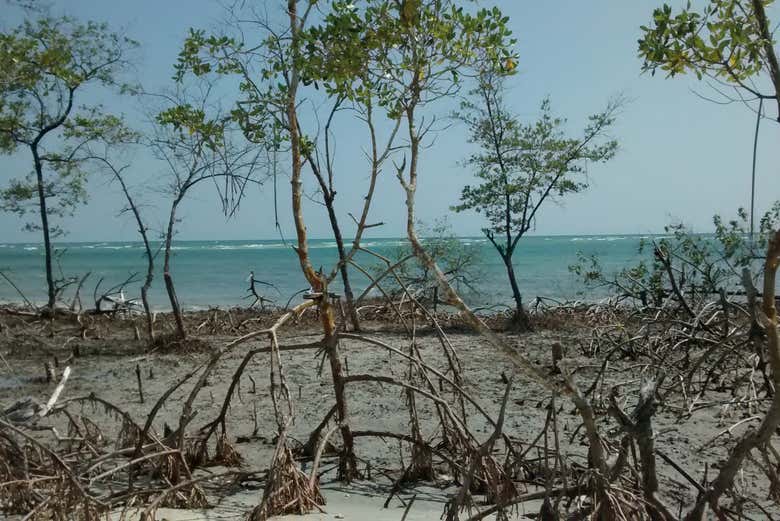 Tour de quadriciclo pelas dunas de Jericoacoara