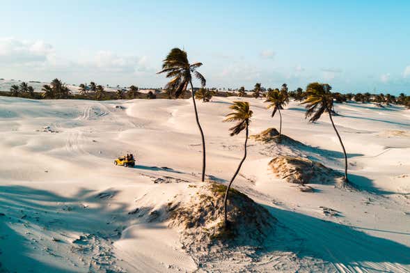 Tour pelo oeste de Jericoacoara