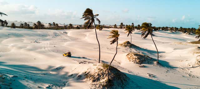Tour pelo lado oeste de Jericoacoara