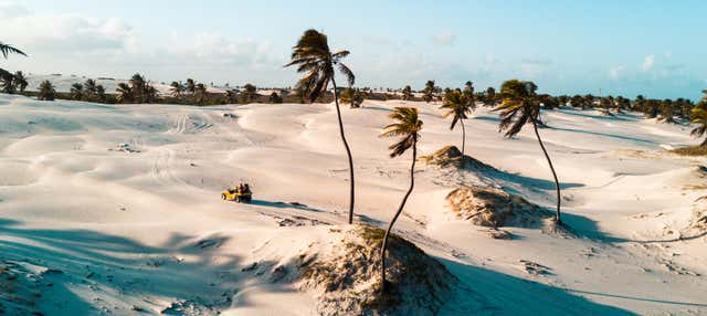 Tour pelo oeste de Jericoacoara