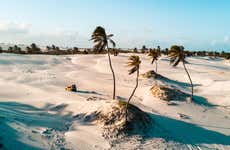 Tour pelo oeste de Jericoacoara